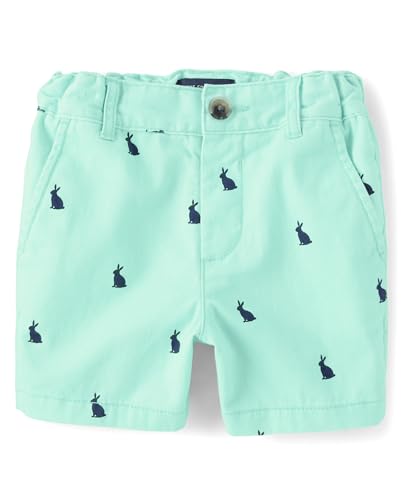 Toddler Patterned Chino Shorts